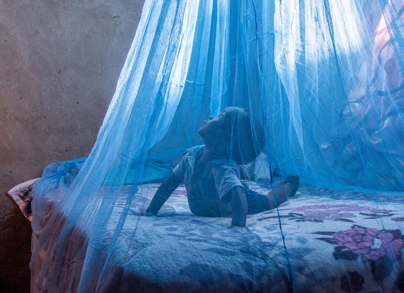 Odisha urges centre for swift supply of mosquito nets to combat malaria